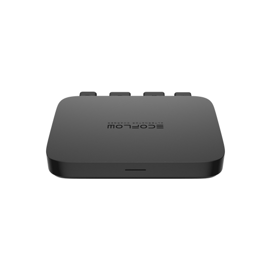 Cargador mediante alternador EcoFlow de 800 W EcoFlow Europe