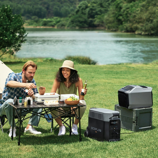 EcoFlow WAVE 2 + EcoFlow DELTA Pro  EcoFlow Europe