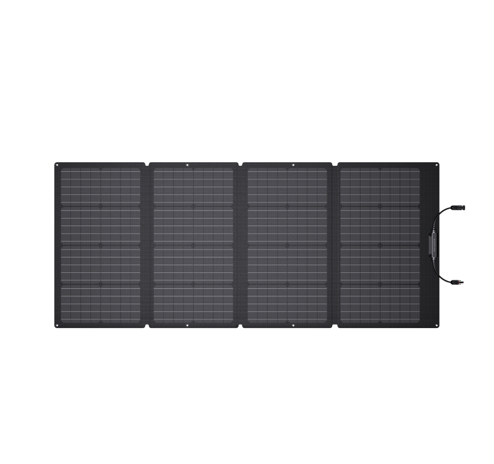 Panel solar de 160 W