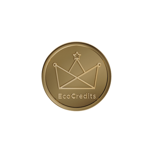 EcoFlow 1000 EcoCredits - Venta Flash Gift Card EcoFlow ES EcoFlow 1000 EcoCredits - Una compra por usuario (solo para miembros)  