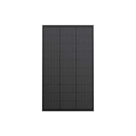 Panel Solar Rígido EcoFlow de 100W  (2 unidades)  EcoFlow   