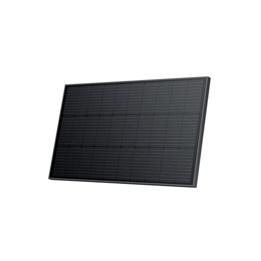 Panel Solar Rígido EcoFlow de 100W (2 uds.)  EcoFlow   