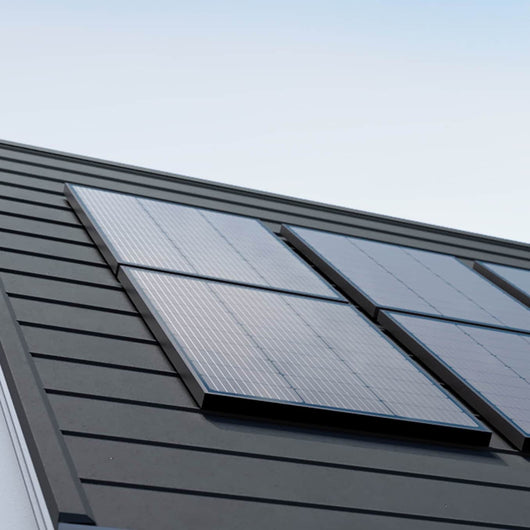 Panel Solar Rígido EcoFlow de 100W  (2 unidades)  EcoFlow   